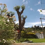 Casa Oliveira 度假居 *