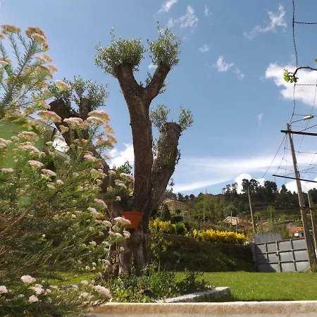 Casa Oliveira Holiday home *