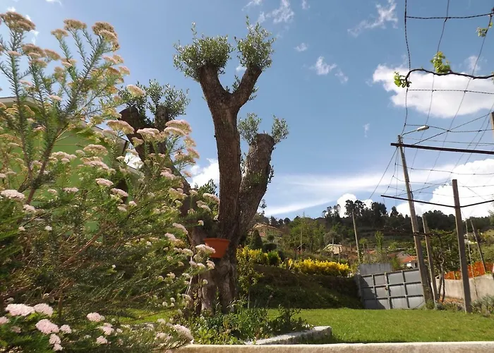 Casa Oliveira Сasa de vacaciones *